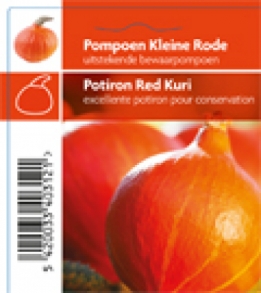 images/productimages/small/312_Pompoen Kleine Rode-1 kopie.jpg